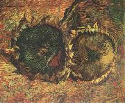 Vincent Van Gogh Two Cut Sunflowers (nn04) Norge oil painting reproduction